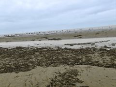 -启东黄金海滩景区