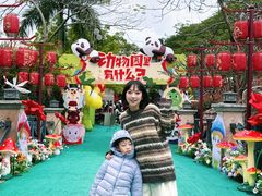 -灵玲国际马戏城