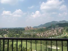 -成都蒲江花样年福朋喜来登度假酒店·宜客乐西餐厅