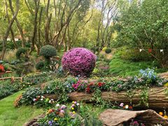 -共青国家森林公园-售票处