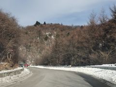 -秦岭风景区