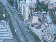 -上海龙之梦万丽酒店