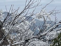 -金子山原生态旅游风景区