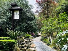 -明月山天沐温泉度假村