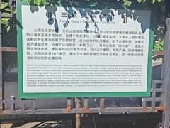 -王家大院
