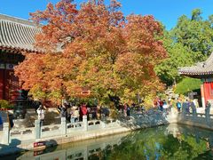 -香山公园