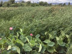 -敕勒川草原文化旅游区