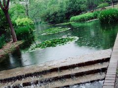 -洛阳市隋唐城遗址植物园