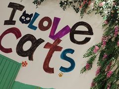 -藏猫猫咖啡主题馆(中央大道店)