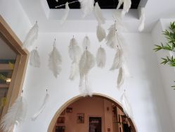 点击看大图 -静待花开瑜伽尊巴会馆