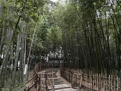 -乌镇东栅景区