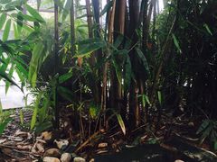 -崇阳三特浪口温泉