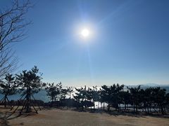 -小麦岛公园