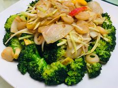 西兰花炒带子-海宝酒家(中山四路店)