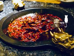 牛油红锅-蜀大侠火锅(春熙路店)
