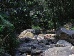 -梧桐山风景名胜区