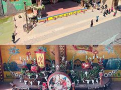 -呀路古热带植物园
