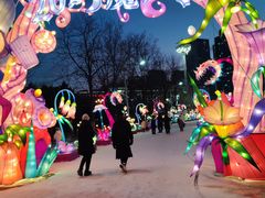 -沈阳奥体冰雪嘉年华