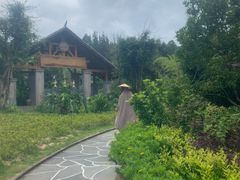 -腾冲洞山温泉村