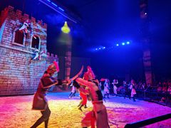 -水秀国际大剧院