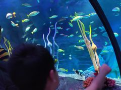 -沈阳海洋探索中心