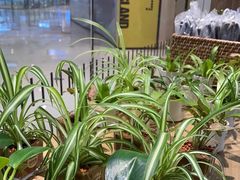 -MUJI无印良品(大悦城店)