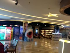 -嘉华国际影城(学清路店)
