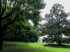 13瑞金宾馆-上海瑞金洲际酒店