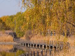-野鸭湖国家湿地公园