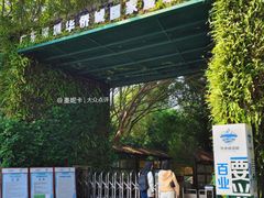 -华侨城湿地公园