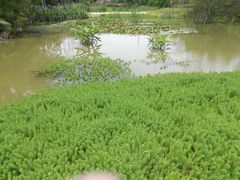 -合肥三国新城遗址公园