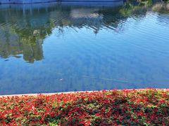 -荔湾湖公园