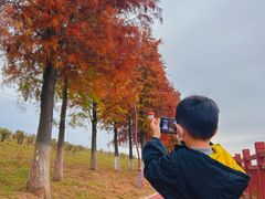 -鹤之洲湿地公园