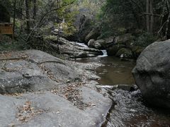 -大围山国家森林公园
