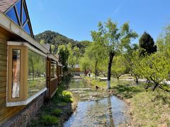 -仙居谷风景区