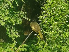 -东坡赤壁风景名胜区