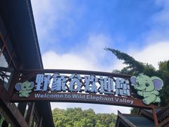 -野象谷景区