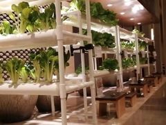 -西安浐灞艾美酒店·汉江餐厅·火锅