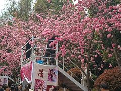 -洛龙公园