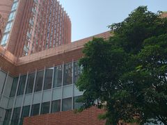 -香港大学