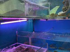 -好爸爸(印象城旗舰店)