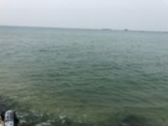 -北海金海湾红树林生态旅游区