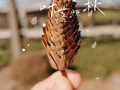-泰丰公园
