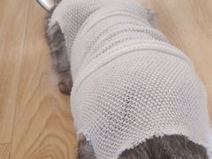 -安安宠医·安宠宠物医院