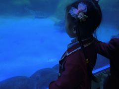 -海合安成都极地海洋公园