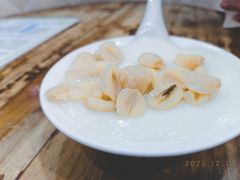 -沙湾姜埋奶(兴新包店)
