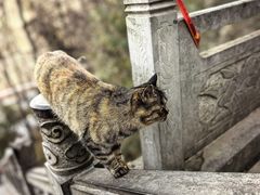 -终南山南五台景区