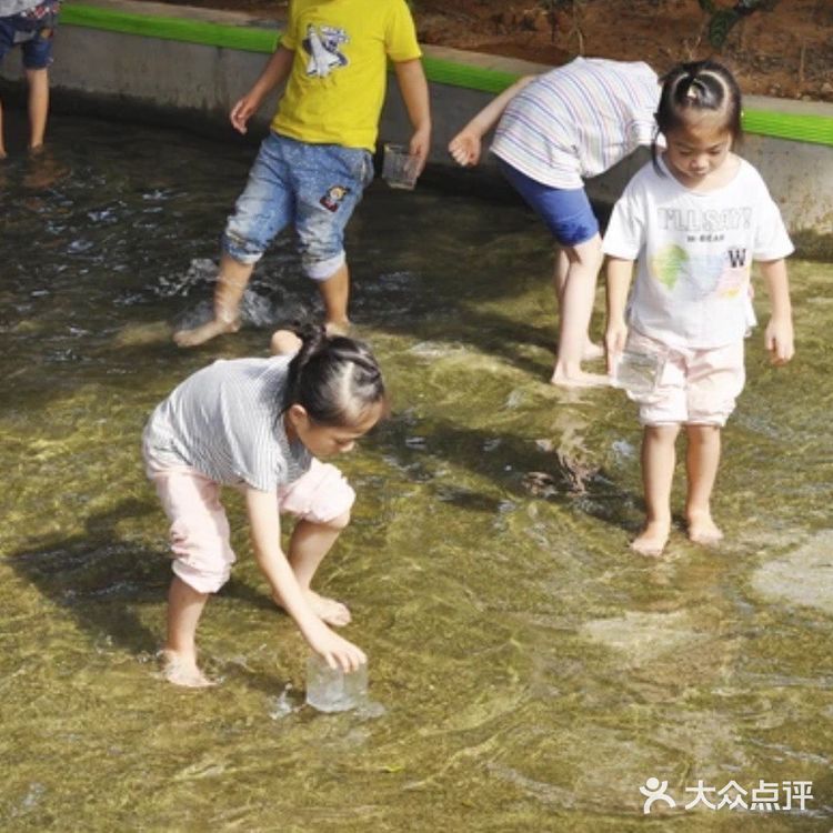 捉泥鳅，滑草come on