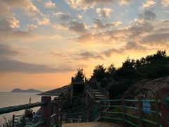 -广东惠东海龟国家级自然保护区