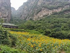 -神农山景区